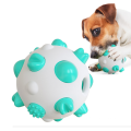 Wholesale Perro Toy Ball Dog Supplies